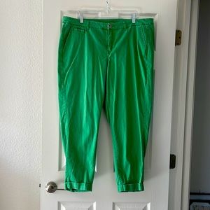 LANE BRYANT size 20 green pants